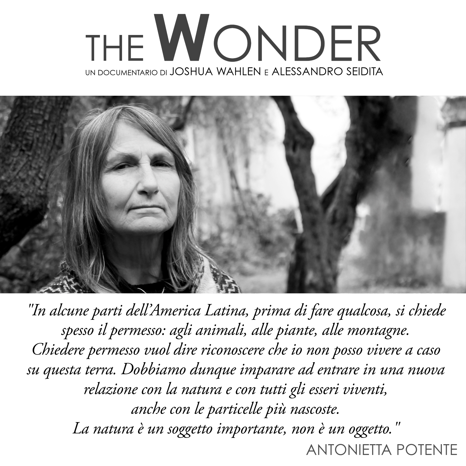 Antonietta Potente_The Wonder