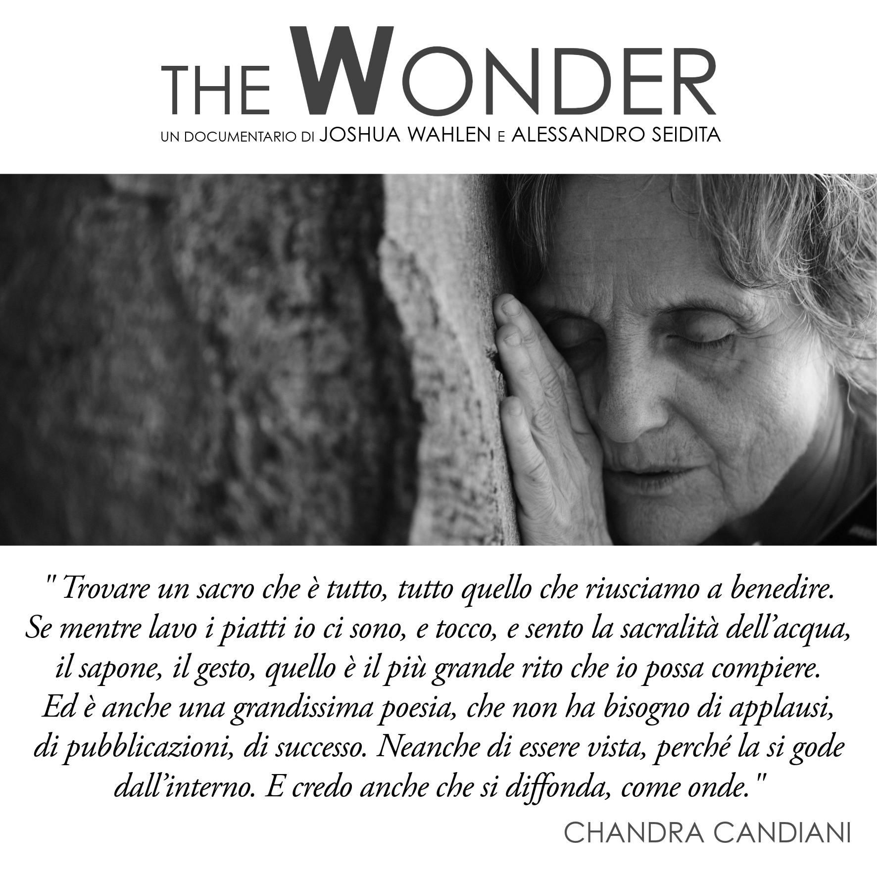 Chandra Candiani_The Wonder