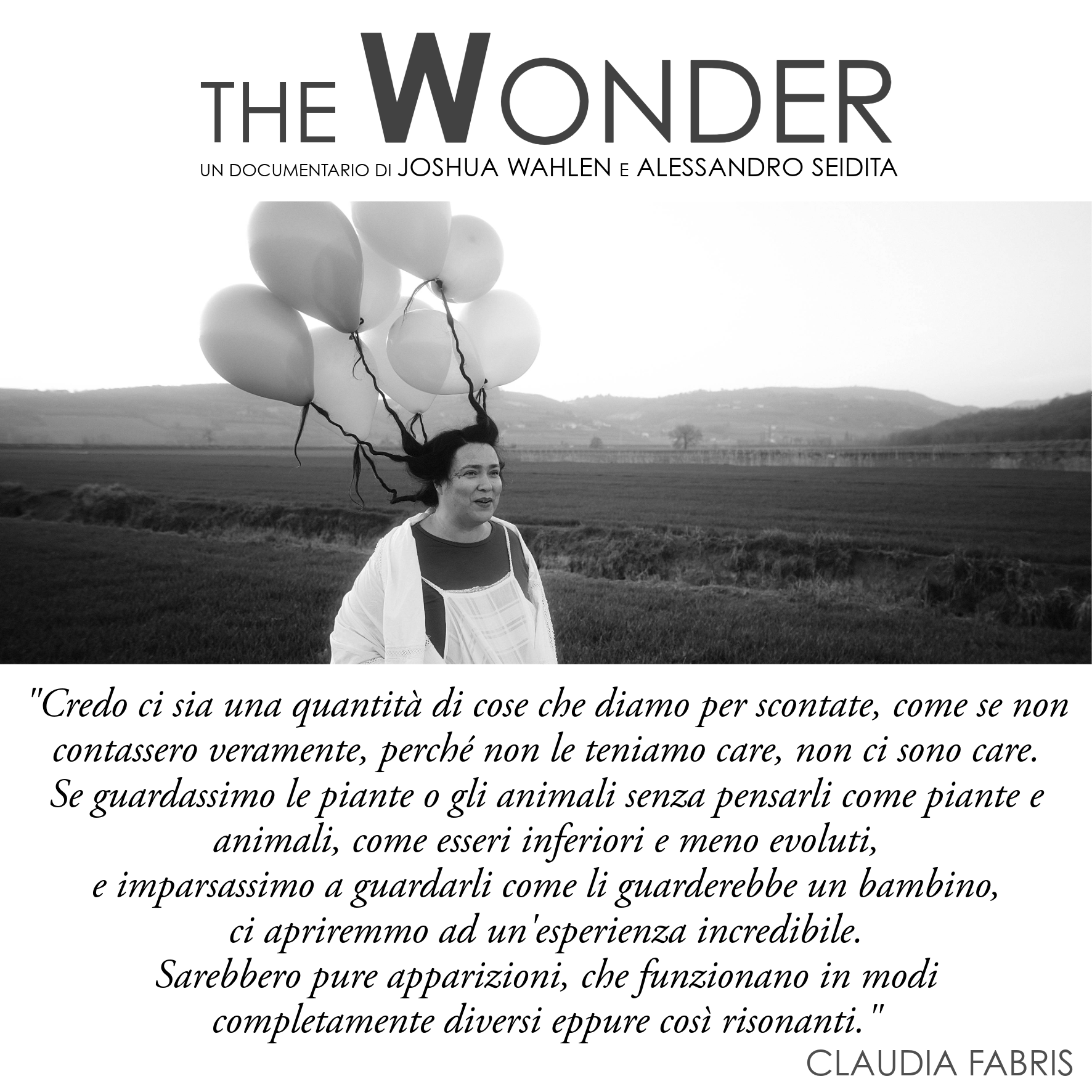 Claudia Fabris_The Wonder