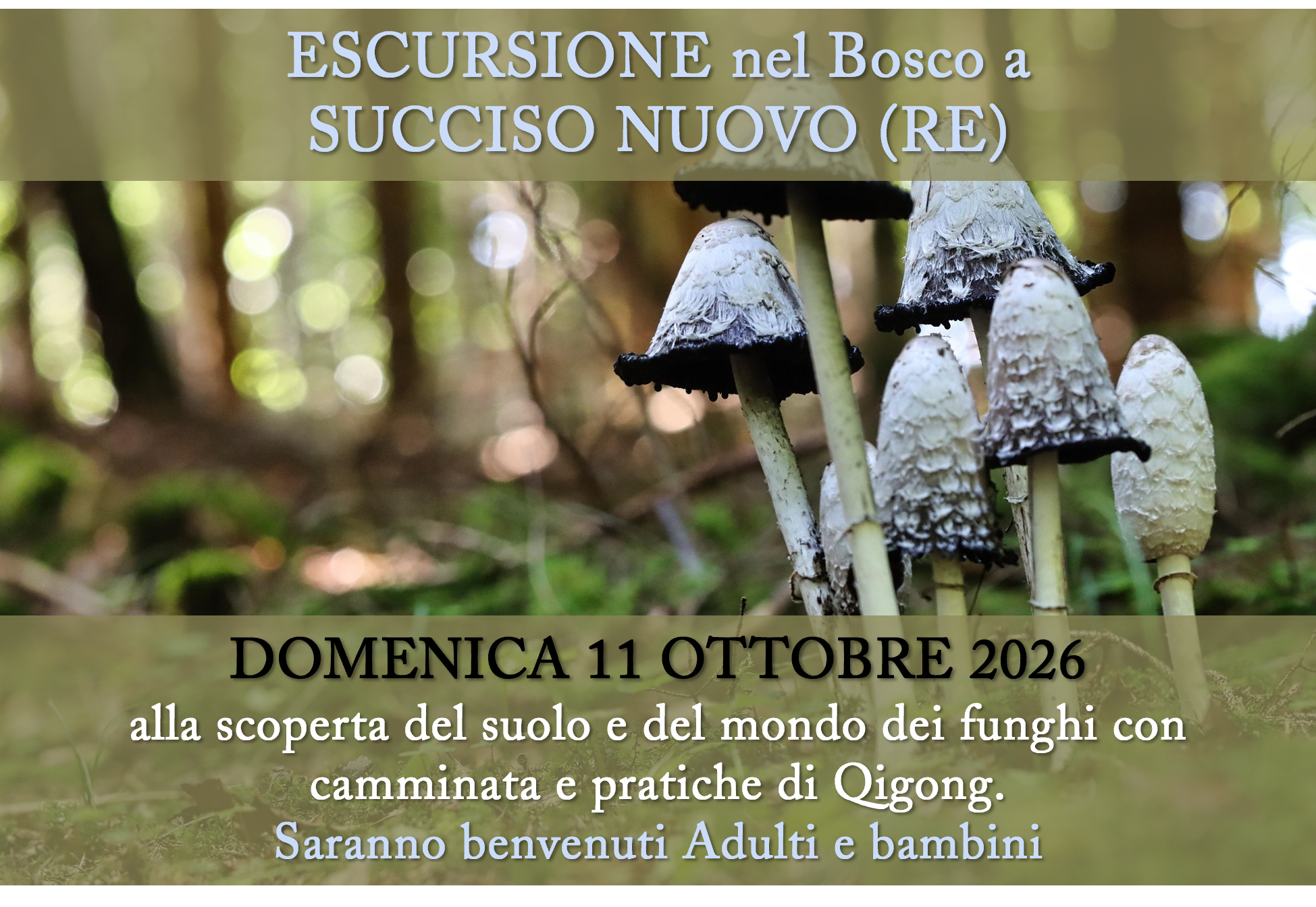 Succiso