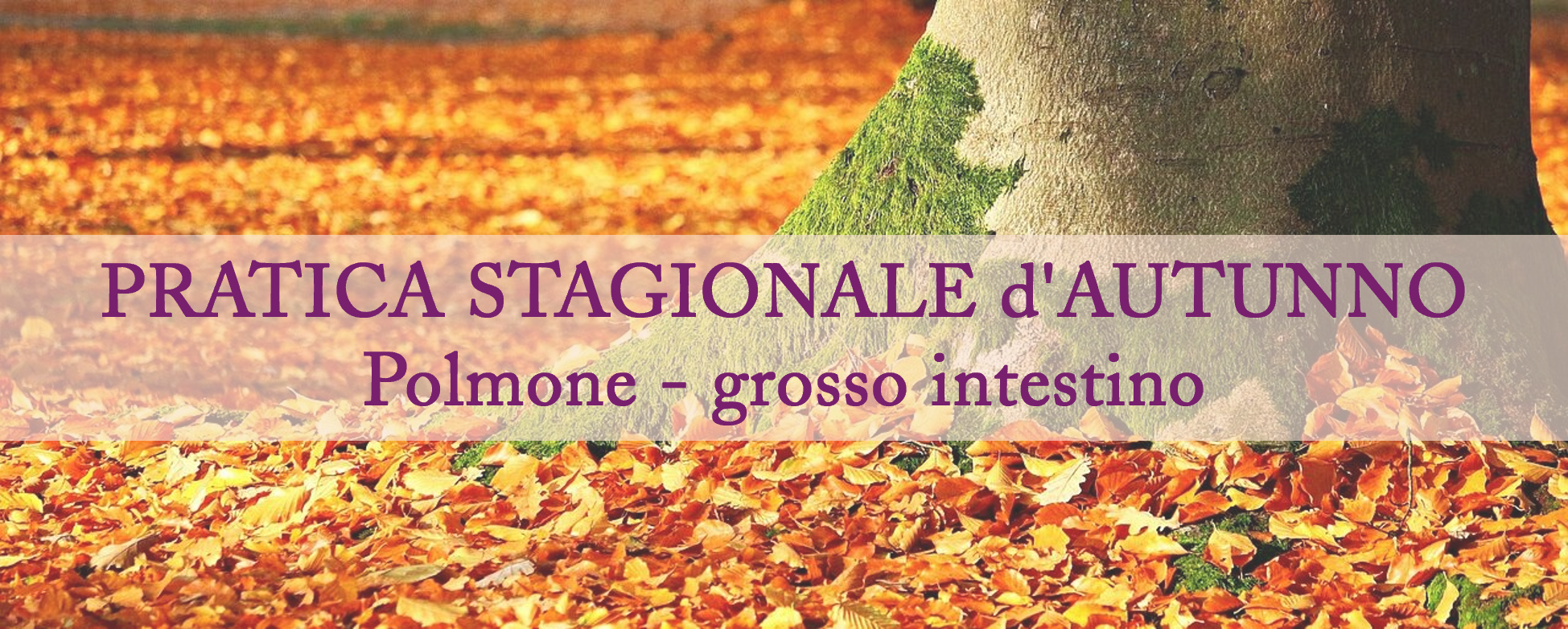 pratiche Stagionale